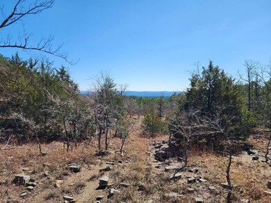 46.1 No Physical Address, Wister, OK 74966 - photo 4