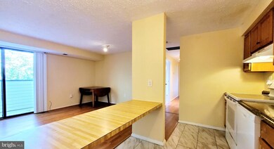 19513 Gunners Branch Rd unit 523, Germantown, MD 20876 - photo 6