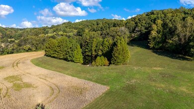 1810 Berryville Rd, Jonesboro, IL 62952 - photo 6