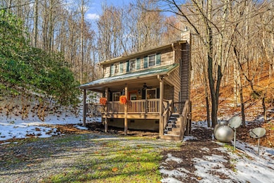 7158 Max Patch Rd, Hot Springs, NC 28743 - photo 2