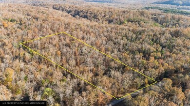 0 Cuba Landing Rd unit RTC3059775, Waverly, TN 37185 - photo 6