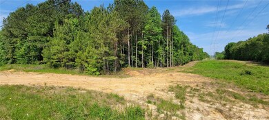 Lot B-1 Hawks Perch, Disputanta, VA 23842 - photo 3