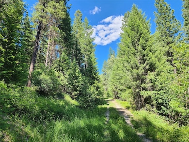 Nhn Silver Butte Rd, Libby, MT 59923 - photo 3