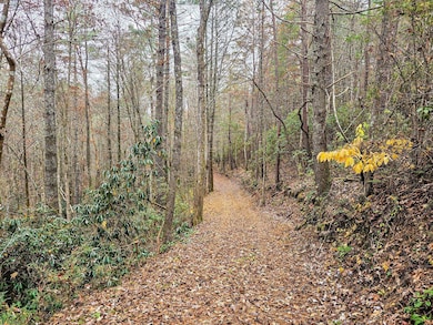 138 Bowater Rd, Tellico Plains, TN 37385 - photo 6