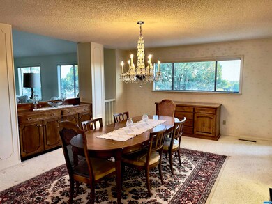 4593 N Shadow Mountain Rd unit 3, Silver City, NM 88061 - photo 5