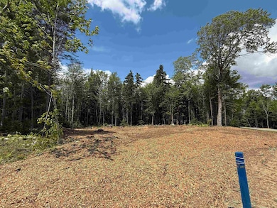 Lot 3 Old Mill Ln, Wilmington, VT 05363 - photo 4