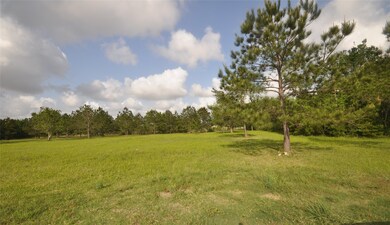 5623 Bailey Rd, Pearland, TX 77584 - photo 6