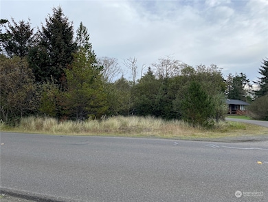 636 E Chance A La Mer NE, Ocean Shores, WA 98569 - photo 3