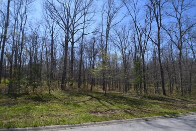 508 Riverchase Dr, Crossville, TN 38571 - photo 3