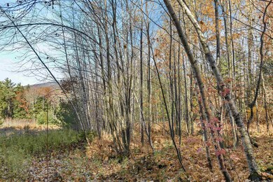 31 Hill Crest Dr, Tuftonboro, NH 03816 - photo 4