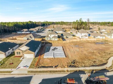 10271 Pelican Hill Ln, Cleveland, TX 77327 - photo 3