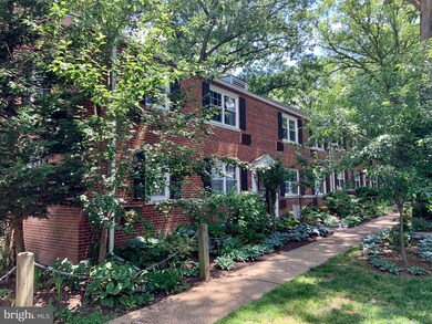 4308 2nd Rd N unit 4, Arlington, VA 22203 - photo 4