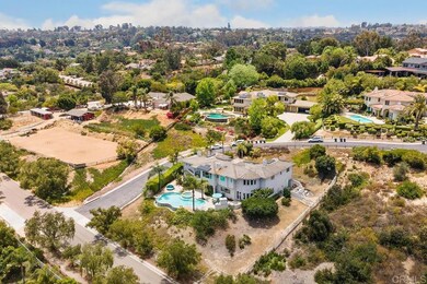 970 Dove Run Rd, Encinitas, CA 92024 - photo 6