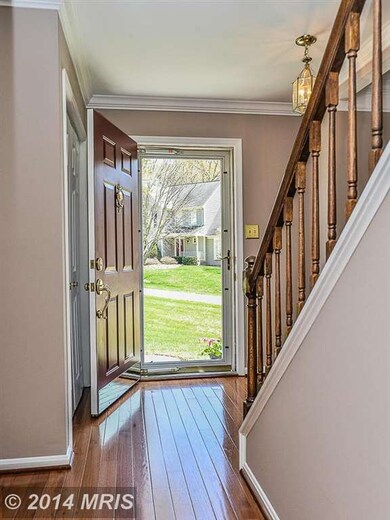 7728 Modisto Ln, Springfield, VA 22153 - photo 3