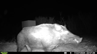 Farm To Market Road 716, Realitos, TX 78376 - photo 2