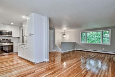 20 Appleyard Ln, Holliston, MA 01746 - photo 4