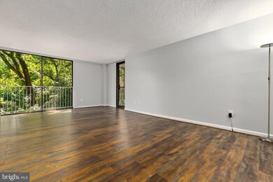 2100 Washington Ave unit 2C, Silver Spring, MD 20910 - photo 4
