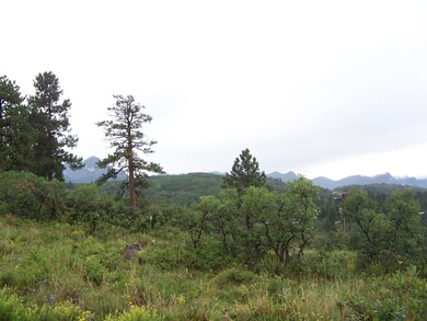 View 5