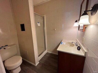 16929 Chalk Bluff Trail, Dexter, MO 63841 - photo 7