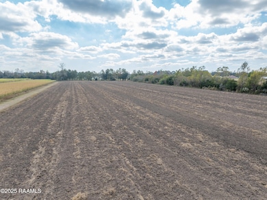 Tbd Ches Courville Rd, Breaux Bridge, LA 70517 - photo 7