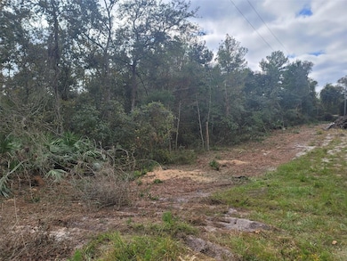 0 Cooter Pond Rd unit MFRO6155271, Deland, FL 32720 - photo 2