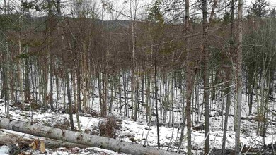 00 N Littleton Rd unit 25, Littleton, NH 03561 - photo 4