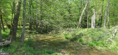 29408 Mine Run Rd, Unionville, VA 22567 - photo 5