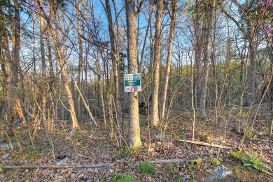 Lot 17 Eagles Nest, Johnson City, TN 37601 - photo 5