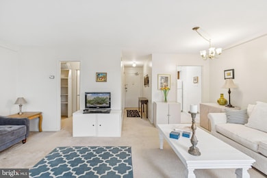 Prospect House unit 565, Arlington, VA 22209 - photo 6