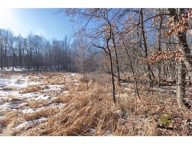 Lot 12 133rd St, Balsam Lake, WI 54001 - photo 6