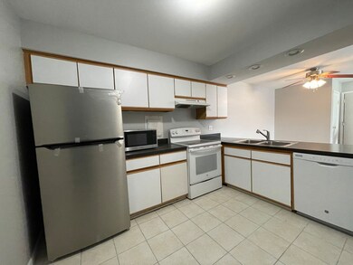 4400 Euclid Ave unit 2A, Rolling Meadows, IL 60008 - photo 4