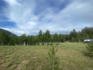 171 Emerald Way, Lake George, CO 80827 - photo 4