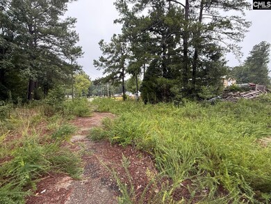 6 Heron Ct, Columbia, SC 29203 - photo 4