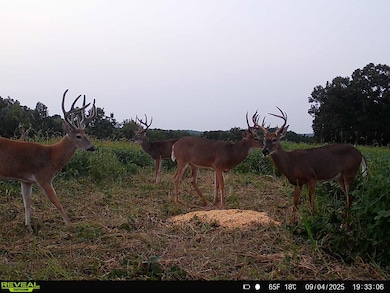 State Highway D (82 1+ - Acres unit Tract 4, Eolia, MO 63344 - photo 7