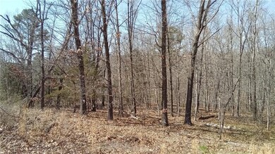 3 Bolton Ln, Bella Vista, AR 72715 - photo 7