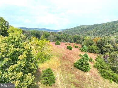 36.02 AC Parker Hollow Rd, Lost River, WV 26801 - photo 7