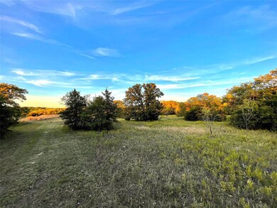 TBD E Lone Star Rd, Weatherford, TX 76088 - photo 4