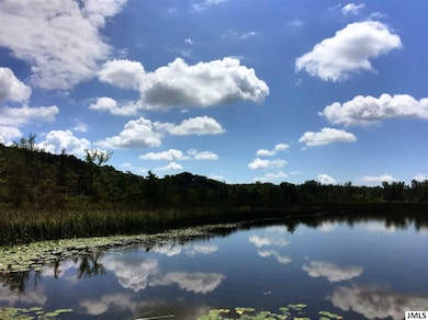 7040 Sanctuary Dr, Jackson, MI 49201 - photo 3