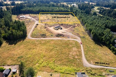 148 Savannah Ln, Winlock, WA 98596 - photo 3