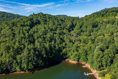 4567 4 5 6 7 Captiva Mountain Drive Cullowhee Nc 28723 Dr, Cullowhee, NC 28723 - photo 4