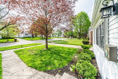 Front Yard View