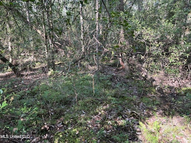 0 Washam Rd, Lucedale, MS 39452 - photo 4