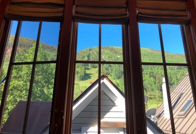 View from Living Room of Ski Area