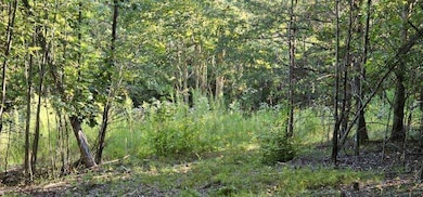 Lot 561 Bluff View Dr, Dunlap, TN 37327 - photo 2