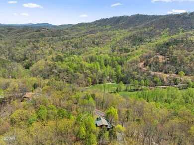 4388 Carolina Cove Way, Pigeon Forge, TN 37863 - photo 5