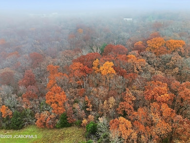 TRACT B6 Pea Ridge Rd, Centertown, MO 65023 - photo 6