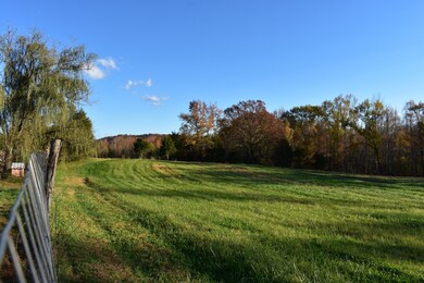 134 Mckeehan Ln, Rock Island, TN 38581 - photo 3