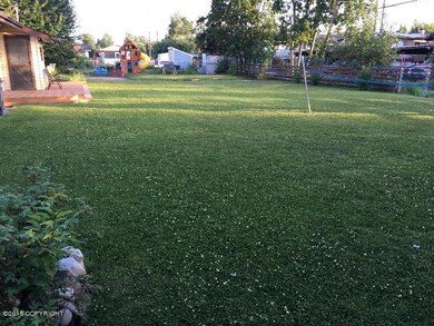 Back Yard Summer