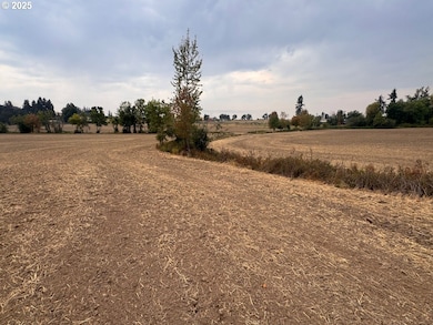 9924 S Wildcat Rd, Molalla, OR 97038 - photo 6