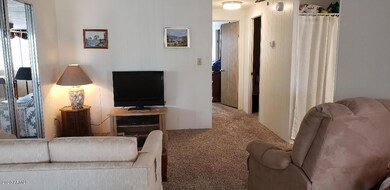 805 MCfarl family room